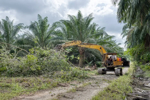 Perak Malásia Fevereiro 2022 Grabber Máquina Hidráulica Escavadeira Remoção Empurrar — Fotografia de Stock