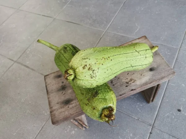 Dois Frescos Arrancados Luffa Sigua Vegetal — Fotografia de Stock