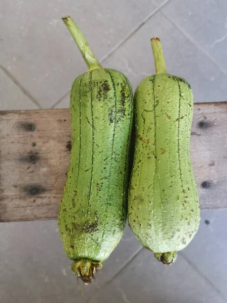 Dwa Świeże Oskubane Warzywa Luffa Sigua — Zdjęcie stockowe