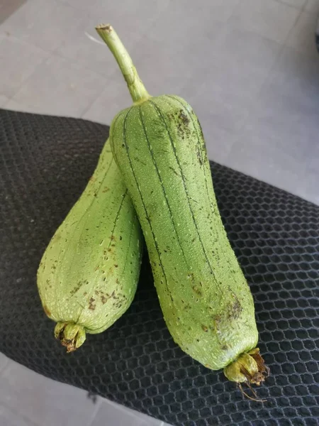 Dvě Čerstvě Trhaná Luffa Sigua Zelenina — Stock fotografie