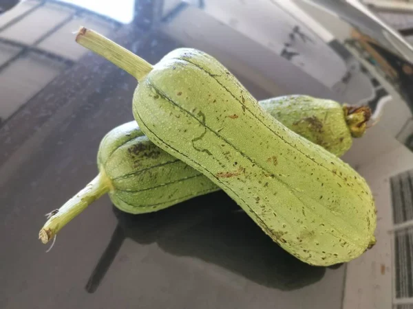 Two Fresh Plucked Luffa Sigua Vegetable — Stock Photo, Image