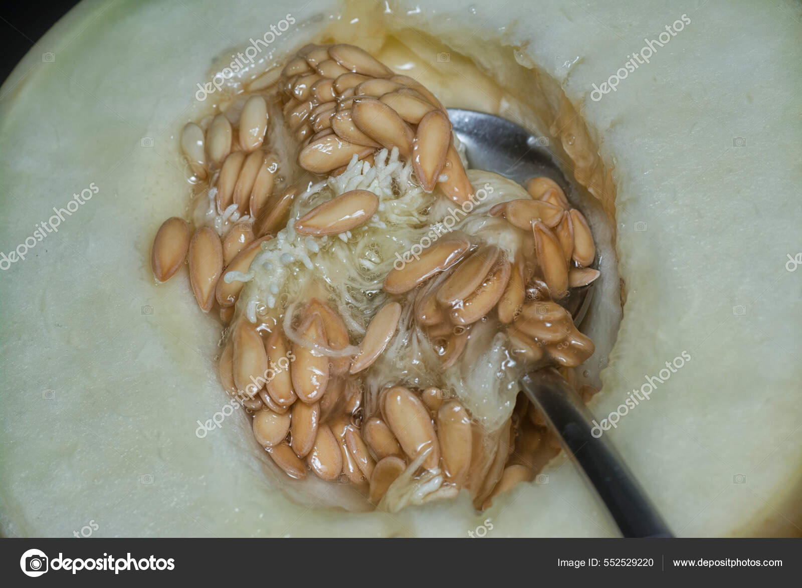 Inner Part Slice Honeydew Melon Stock Photo by ©sweemingyoung 552529220