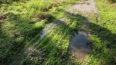 Durgun su birikintisinin üzerinde uçan bir hava sahnesi