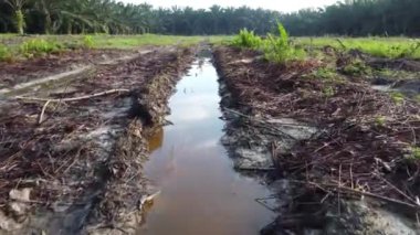 Durgun su birikintisinin üzerinde uçan bir hava sahnesi