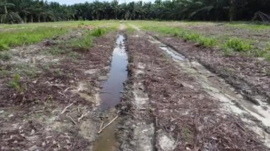 Durgun su birikintisinin üzerinde uçan bir hava sahnesi