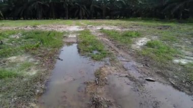 Durgun su birikintisinin üzerinde uçan bir hava sahnesi