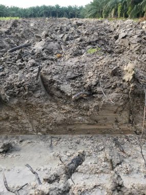 Çiftlikteki tarlaların olduğu yer..