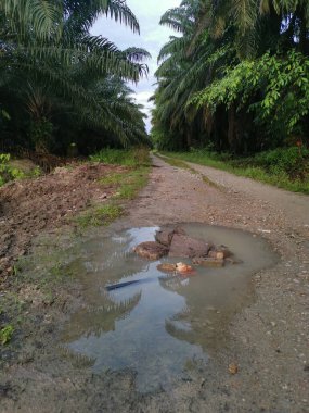 Şiddetli sabah yağmurundan sonra çiftlikte ıslak yol