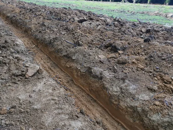 Scena Del Terreno Arato Nella Fattoria Della Piantagione — Foto Stock