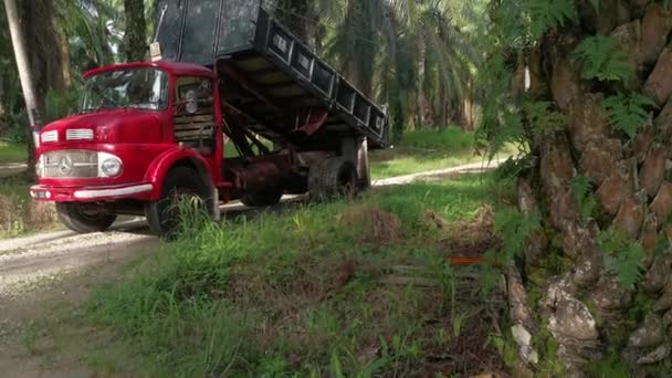 Perak Malesia Marzo 2021 Camion Ribaltabile Camion Che Scaricano Sabbia — Video Stock