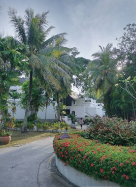 Bahçe kavşağında yapraklı bitkiler.