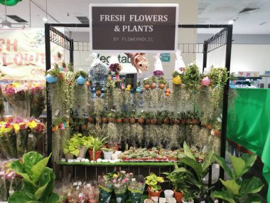 Perak, Malezya. 24 Mart 2022: Aeon Çiçek tezgahı süpermarketi Sri Manjung 'da çeşitli taze bromeliad bitkileri ve çiçekler sergileniyor ve satılıyor.