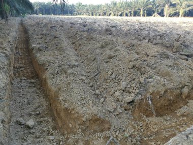 Çiftlikteki tarlaların olduğu yer..