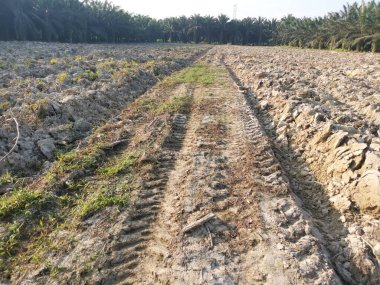 Çiftlikteki tarlaların olduğu yer..