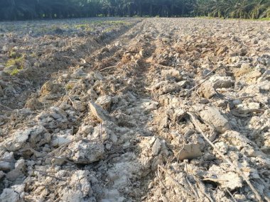 Çiftlikteki tarlaların olduğu yer..