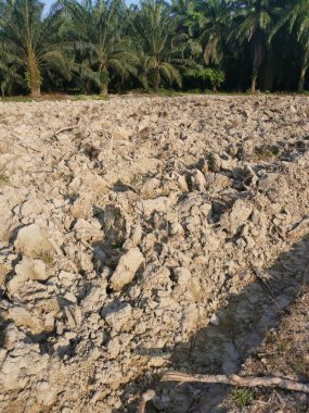 Çiftlikteki tarlaların olduğu yer..