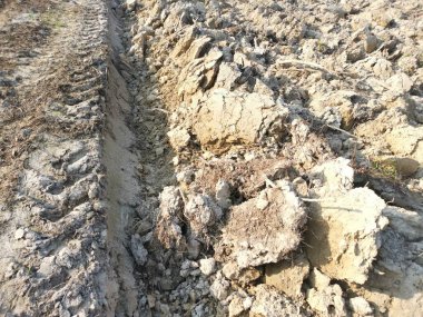 Çiftlikteki tarlaların olduğu yer..