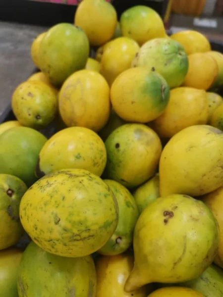Pila Fruta Amarilla Pouteria Caimito — Foto de Stock