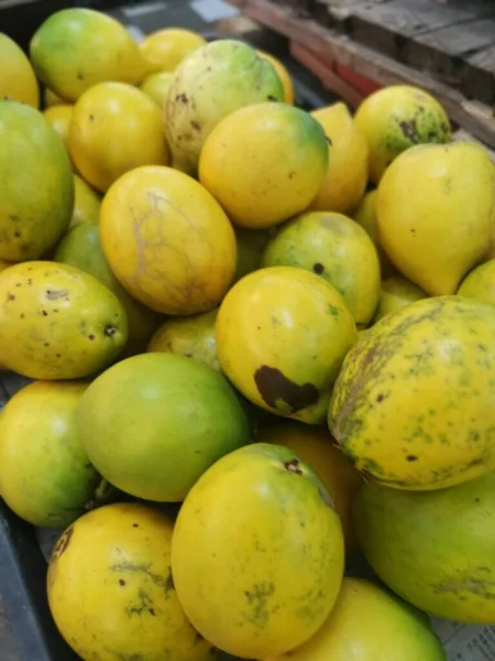 Pila Fruta Amarilla Pouteria Caimito — Foto de Stock