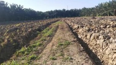 Pürüzsüz topraklarda güneşli bir gün..