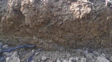 Pürüzsüz topraklarda güneşli bir gün..