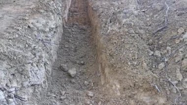 Pürüzsüz topraklarda güneşli bir gün..