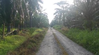 # Çiftlikte sabah gökyüzü son derece parlak #