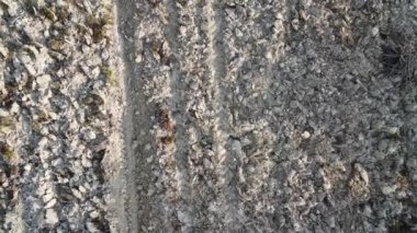 Boş çiftlikteki bir sıranın hava sahnesi.