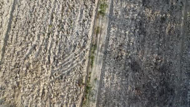 Luftaufnahme Einer Reihe Gepflügter Grundstücke Auf Dem Leerstehenden Bauernhof — Stockvideo