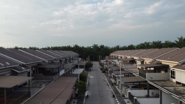 Banlieue Scène Ville Avec Palmier Huile Autour Agriculture — Video