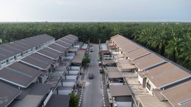 Petrol palmiyesi yetiştiriciliğiyle çevrili bir şehir..