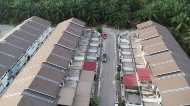 Petrol palmiyesi yetiştiriciliğiyle çevrili bir şehir..