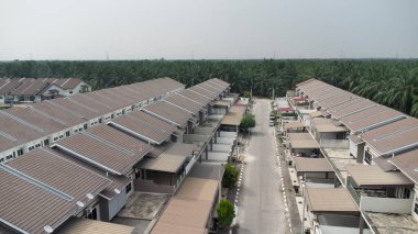 Petrol palmiyesi yetiştiriciliğiyle çevrili bir şehir..