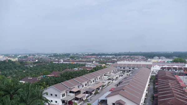 Petrol palmiyesi yetiştiriciliğiyle çevrili bir şehir..