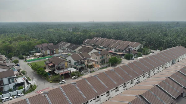 Petrol palmiyesi yetiştiriciliğiyle çevrili bir şehir..