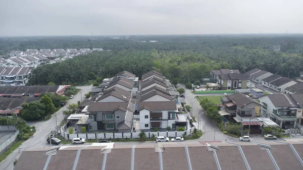 Petrol palmiyesi yetiştiriciliğiyle çevrili bir şehir..