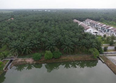 Banliyödeki lağım çukurunun havadan görünüşü..
