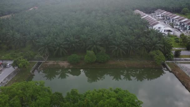 Pemandangan Udara Kolam Septik Pinggiran Kota — Stok Video