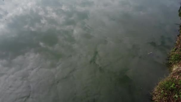 Pemandangan Udara Kolam Septik Pinggiran Kota — Stok Video