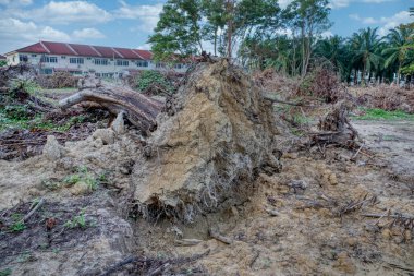 Sabahın erken saatlerinde ormansız arazide inşaat alanına hazırlanırken..