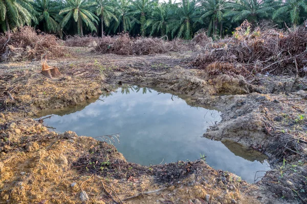 Vroege Ochtend Scène Het Ontbost Land Voor Bereiden Bouwplaats — Stockfoto