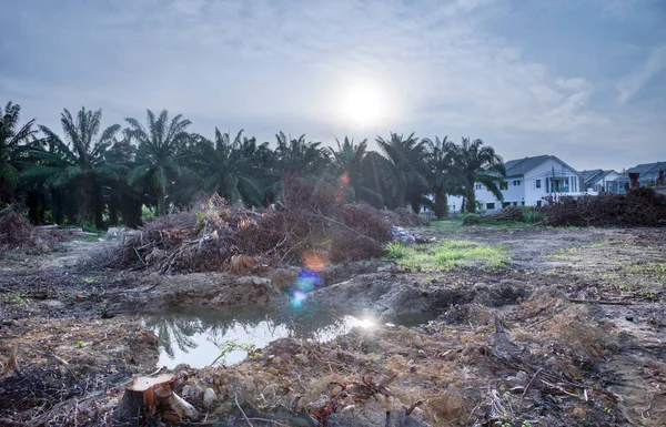 Early Morning Scene Deforested Land Preparing Building Construction Site — ストック写真