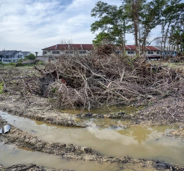 Escena Madrugada Las Tierras Deforestadas Que Preparan Para Construcción —  Fotos de Stock