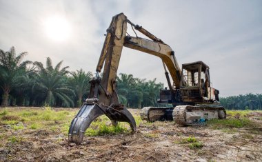 sarı renkli hidrolik kazıcı makinesi.