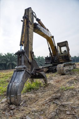 sarı renkli hidrolik kazıcı makinesi.