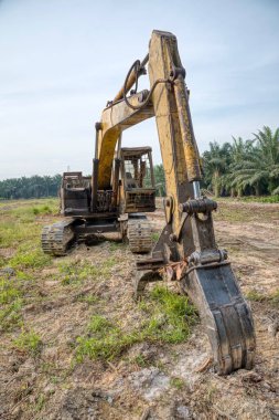 sarı renkli hidrolik kazıcı makinesi.