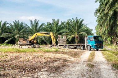 sarı renkli hidrolik kazıcı makinesi.
