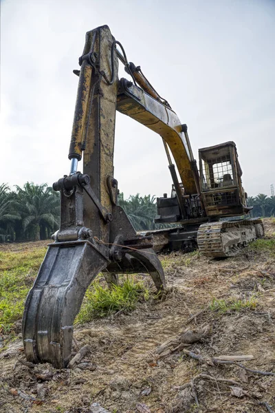 sarı renkli hidrolik kazıcı makinesi.