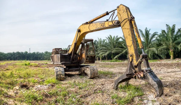 sarı renkli hidrolik kazıcı makinesi.