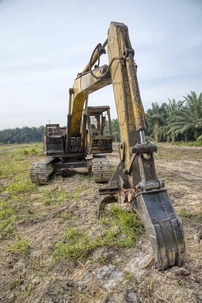 sarı renkli hidrolik kazıcı makinesi.